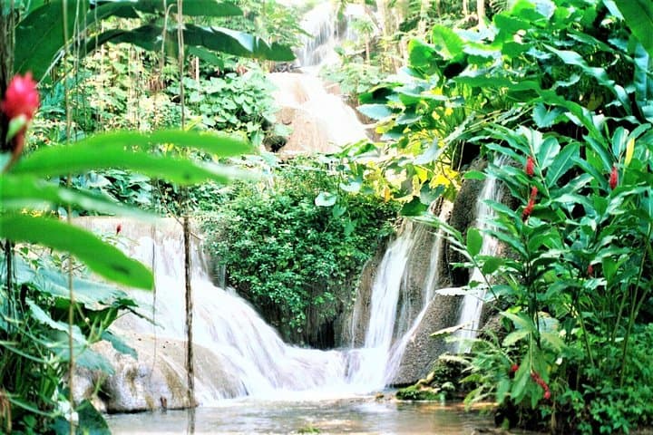 Climb Dunn's River Falls and Shop Ocho Rios: Full-Day Tour from Grand Palladium photo 3