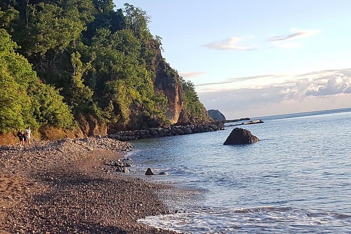 Get Set Wet: Champagne Reef to Titou Gorge — Dominica Day Tour photo 5