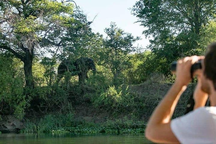 Zambezi Classic Sunset Cruise from Victoria Falls photo 3