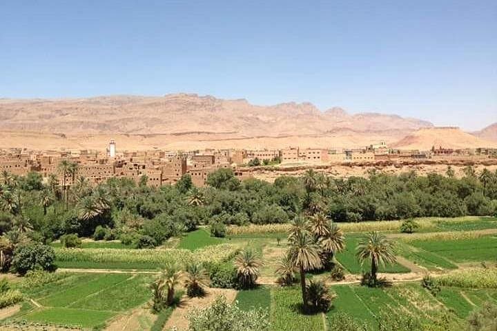 2-Day Private Trek from Marrakech to Berber Villages (Imlil & Toubkal Foothills) photo 3