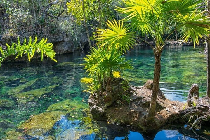 Snorkeling the Cenotes: Two-Cenote Tour from Playa del Carmen