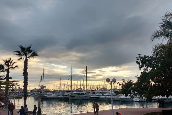 Taste Alicante: Guided Tapas & Tardeo Walking Tour photo 6