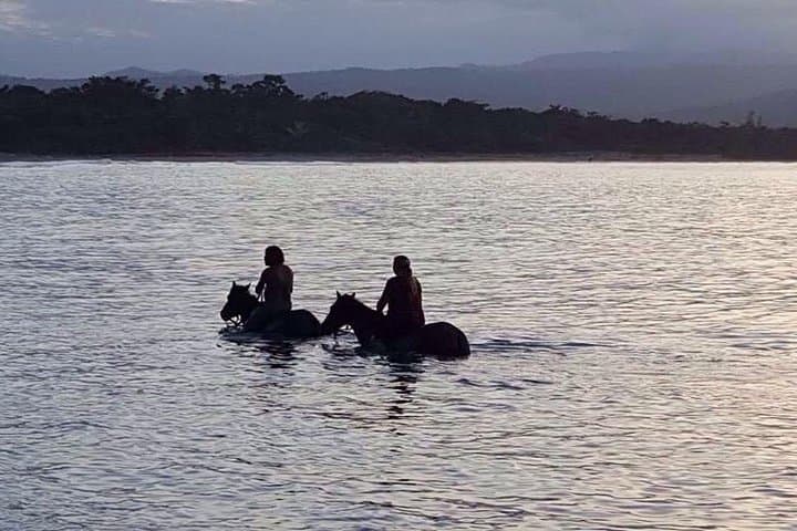 Sunset Beach Horseback Riding in Puerto Plata — Ride the Waves at Bergantín Beach photo 4