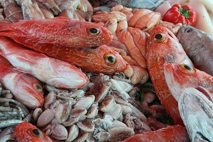 Private Day Trip from Marrakech to Essaouira — Coastal Medina, Argan Co‑ops & Beaches photo 4