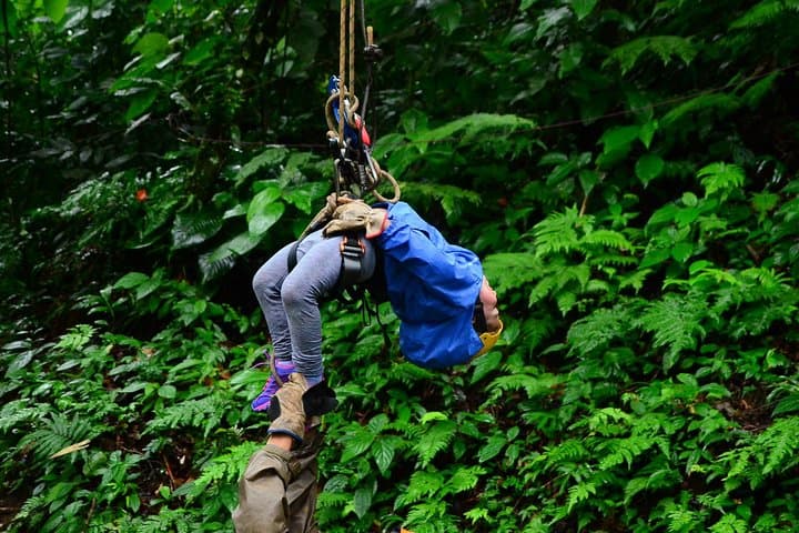 Arenal Canopy Tour: Zipline, Tarzan Swing & Night Walk in La Fortuna photo 3
