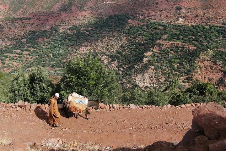 Ourika Valley & Anima Garden: Private Day Trip from Marrakech photo 5