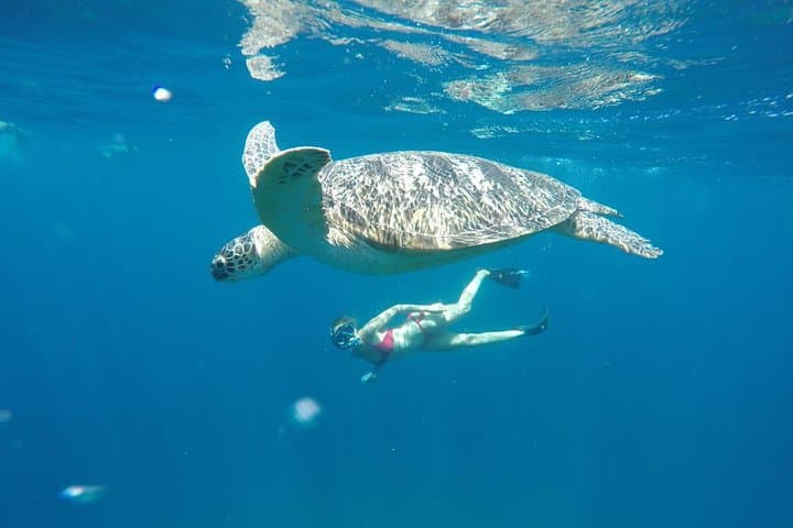 backpacker-lombok-5d-4n-hostel-itinerary-beaches-gilis-and-cultural-tours photo 2