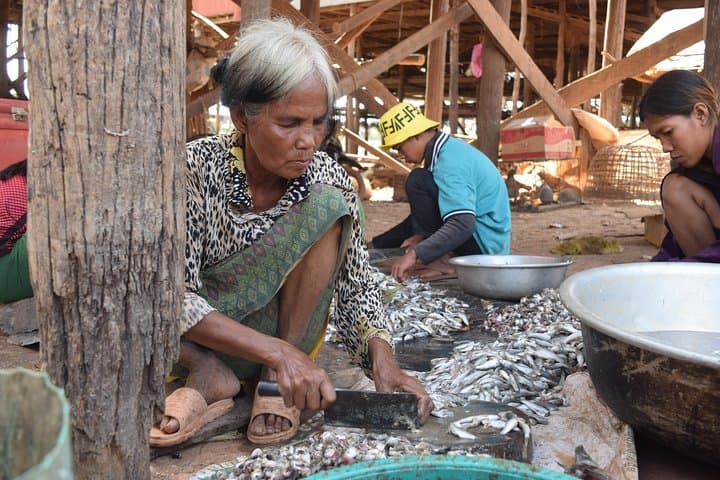 Ride the Battambang Bamboo Train: Rural Cambodia, Temples, and Bat Flights photo 4