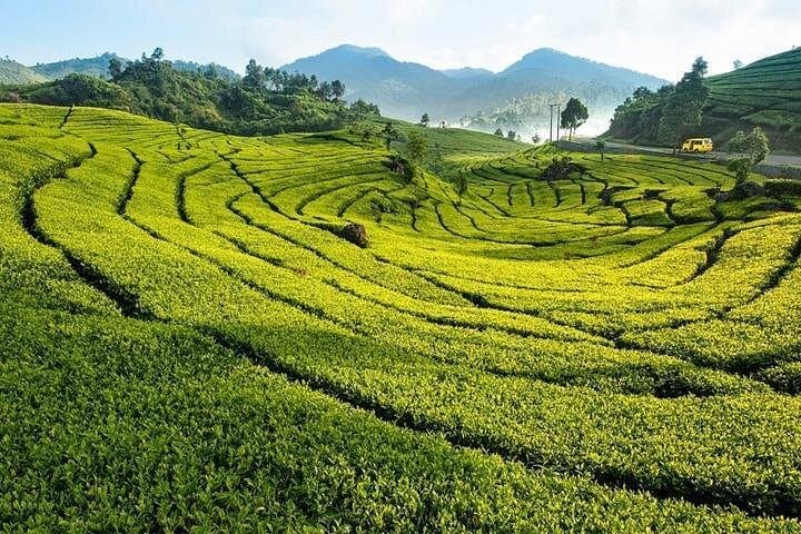 Bogor Highland Waterfall Day Tour: Cinangka Falls, Tea Estates & Wayang Golek photo 3