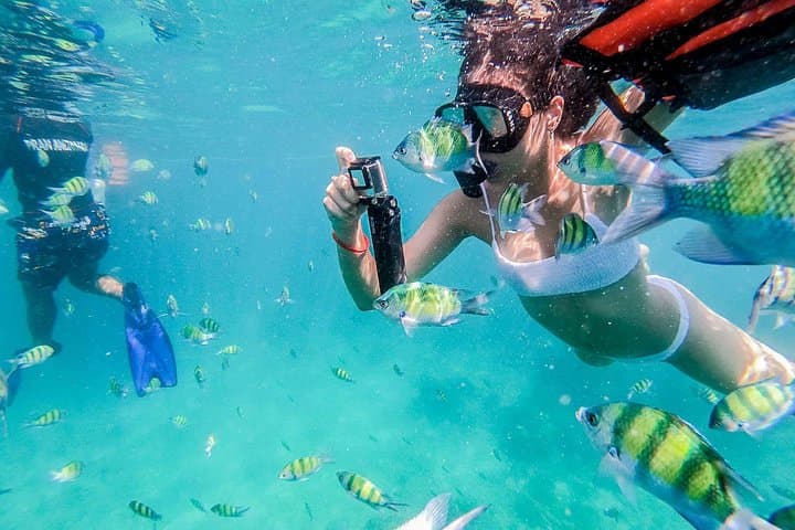 Phi Phi, Maya Bay & Maiton: Full-Day Speedboat Discovery from Phuket
