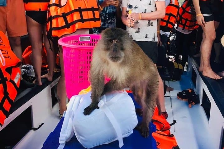Phi Phi, Maya Bay & Maiton: Full-Day Speedboat Discovery from Phuket photo 4