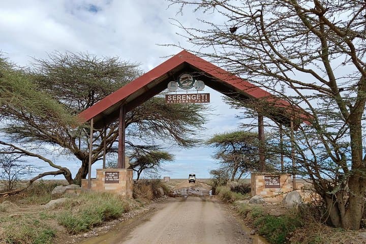 5-Day Private Luxury Safari to Lake Manyara, Serengeti & Ngorongoro photo 2