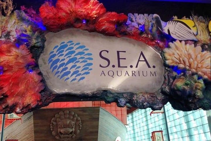 S.E.A. Aquarium Singapore One-Day Ticket — 9m Acrylic Dome & Open Ocean Habitat photo 3