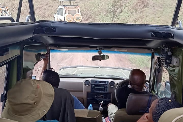 5-Day Private Luxury Safari to Lake Manyara, Serengeti & Ngorongoro photo 5