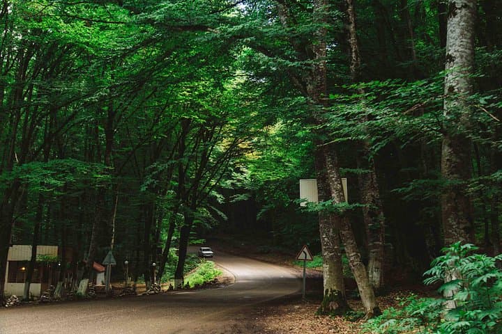 Guba to Khinalug Day Tour — Ancient Mountain Village, Carpets & Forest Drives
