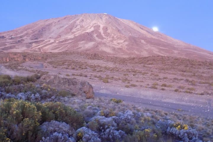 5-Day Marangu Route Climb: Conquer Mount Kilimanjaro's Easiest Summit photo 2