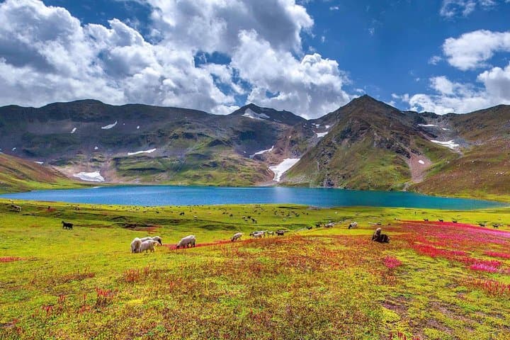 10-Day Hunza Nagar Naltar Valley Experience