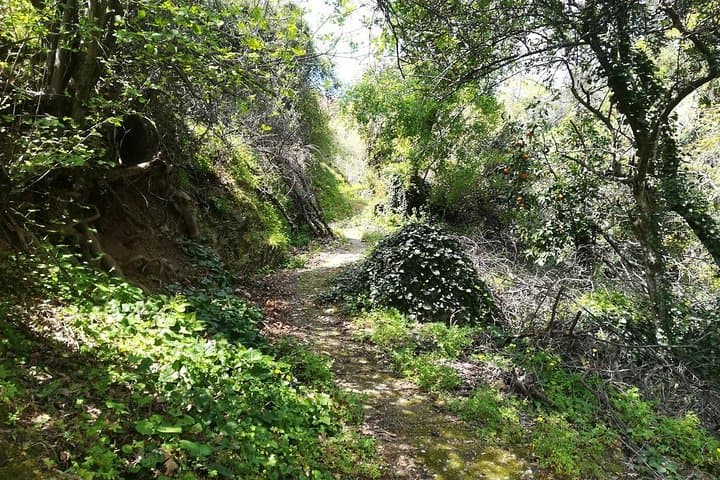 Hiking Kosmas Arcadia Parnon Trail: Cobblestone Paths, Mountain Views & Tsakonian Culture photo 5