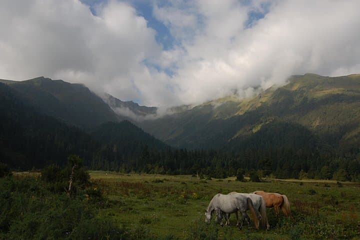 Dhorpatan Private Guided Trek: Explore Nepal’s Hunting Reserve and Himalayan Views photo 3