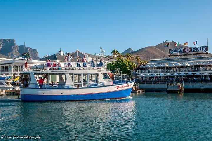Half-Hour Seal & Harbour Cruise — V&A Waterfront, Cape Town