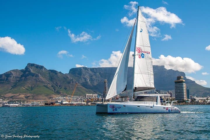 One-Hour Catamaran Sailing in Table Bay — V&A Waterfront Cruise photo 5