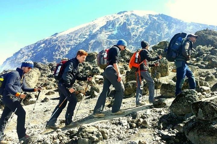 7-Day Machame Route Mt Kilimanjaro Climb: Guided Trek to Uhuru Peak photo 1