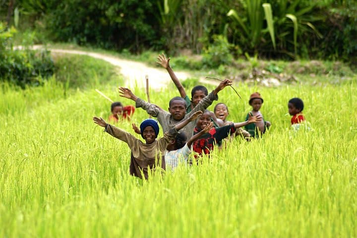Between Two Malagasy Kingdoms: Matsiatra Canoe Descent & Betsileo Tea Plantation Day Tour photo 1