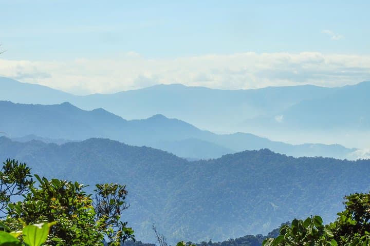 Private Mindo Cloud Forest Tour from Quito — Hummingbirds, Waterfalls & Chocolate photo 3