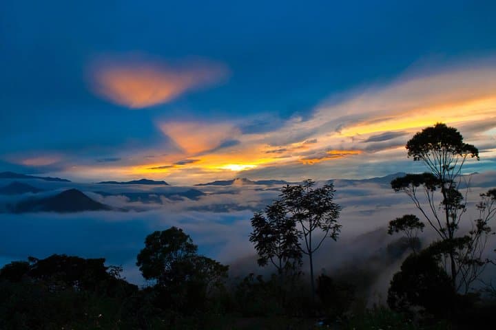 Mindo Cloud Forest Day Trip from Quito: Birds, Waterfalls & Chocolate