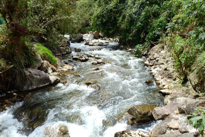 Papallacta Hot Springs and Guango Birding Reserve Private Tour from Quito photo 6