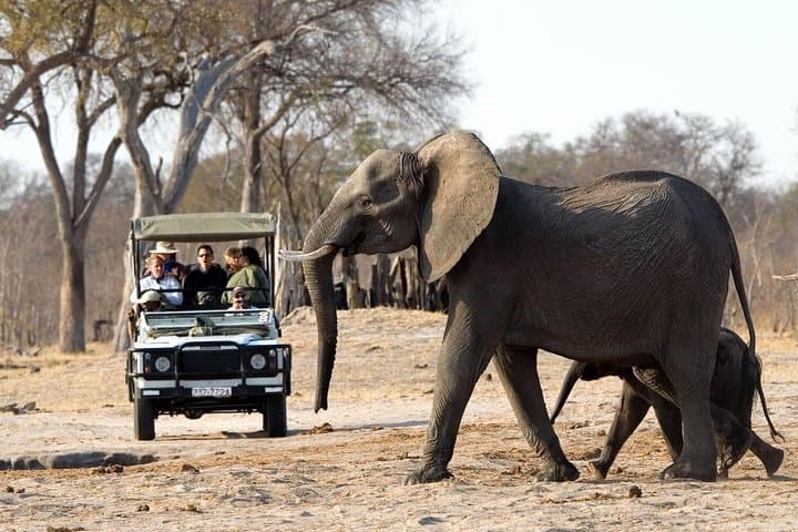 Full-Day Victoria Falls Game Drive, Falls Tour & Zambezi Sunset Cruise photo 2
