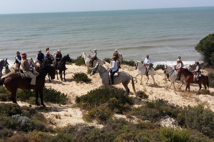 Horseback Riding Through Doñana National Park with Visit to El Rocío photo 3