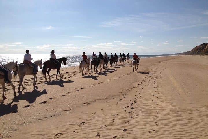 Horseback Riding Through Doñana National Park with Visit to El Rocío photo 5