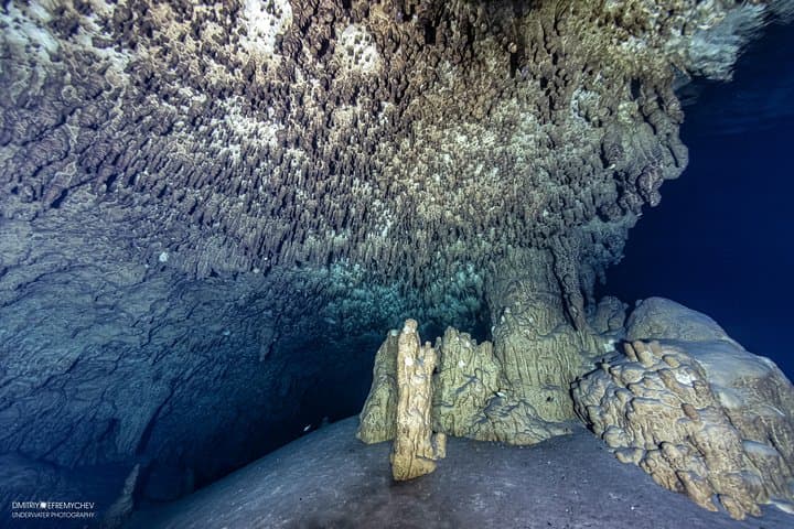 Cenote Cave Diving at Tak Be Ha & Tak Be Lum — Playa del Carmen photo 3
