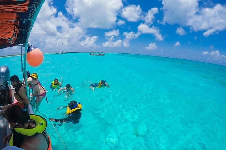 Snorkel Cozumel’s El Cielo, Palancar & Colombia Reefs — Full-Day Adventure photo 2