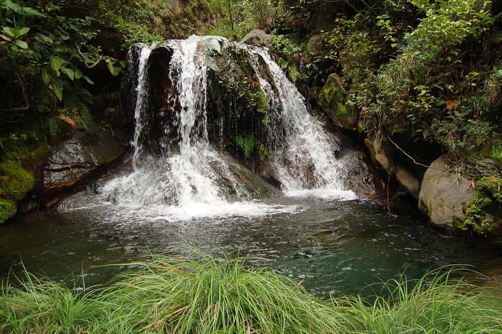 Rincón Waterfalls Horseback Ride to Blue Pools and La Oropendola photo 6