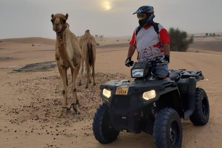Dubai Desert Safari: ATV Quad, Camel Ride & VIP BBQ Experience photo 2