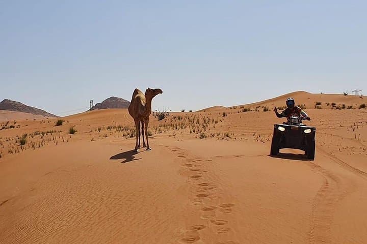 Dubai Desert Safari: ATV Quad, Camel Ride & VIP BBQ Experience photo 6