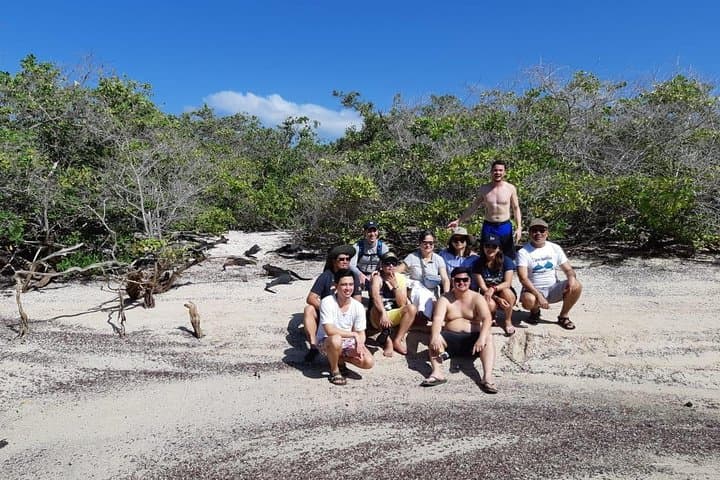 Snorkel Pinzón & Las Palmas — Swim with Galápagos Sea Lions, Sharks and Rays photo 4