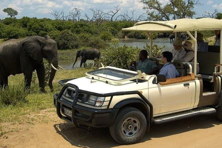 Chobe Day Trip from Victoria Falls: River Cruise and Game Drive in One Day photo 6