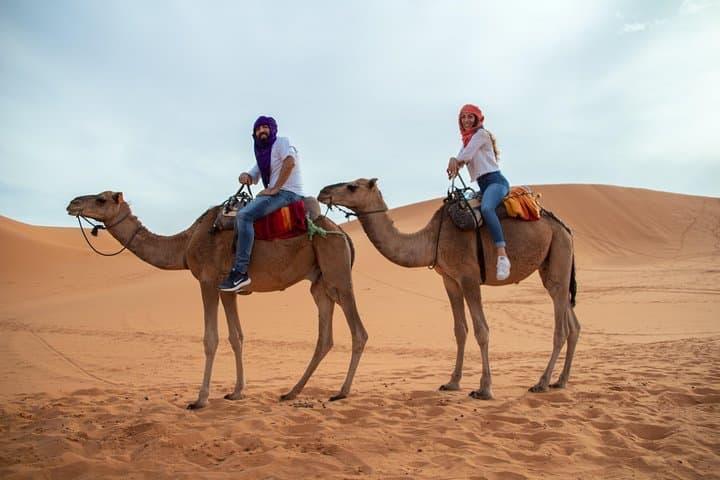 Overnight Zagora Sahara Desert: 2-Day Camel Trek & Camp from Marrakech