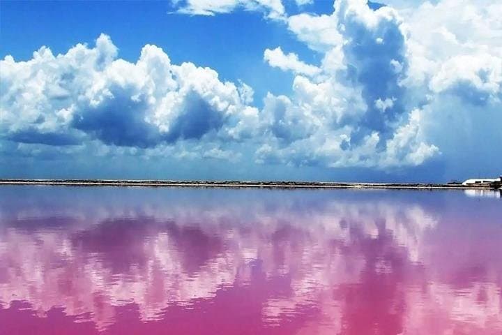 Rio Lagartos & Las Coloradas Private Tour from Merida: Pink Lakes, Flamingos & Cenote Swim