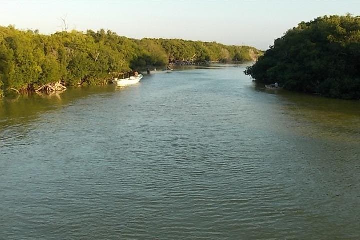 Rio Lagartos & Las Coloradas Private Tour from Merida: Pink Lakes, Flamingos & Cenote Swim photo 2
