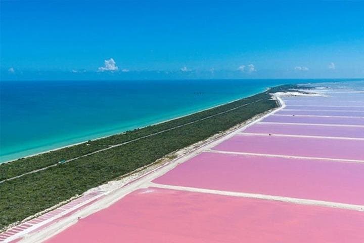 Rio Lagartos & Las Coloradas Private Tour from Merida: Pink Lakes, Flamingos & Cenote Swim photo 4