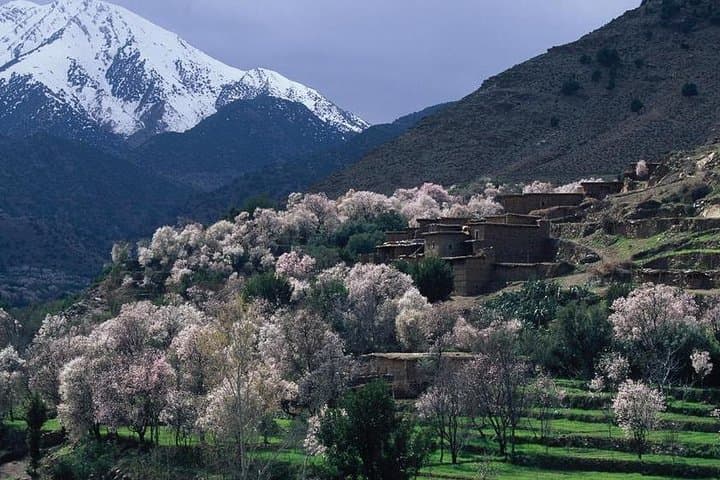 Atlas Mountains Day Trip: Agafay Desert, Waterfalls & Three Valleys from Marrakech photo 5