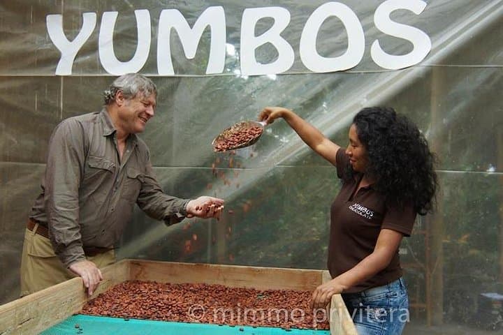 Mindo Cloud Forest Private Tour & Yumbos Chocolate Factory — Birdwatching from Quito photo 6