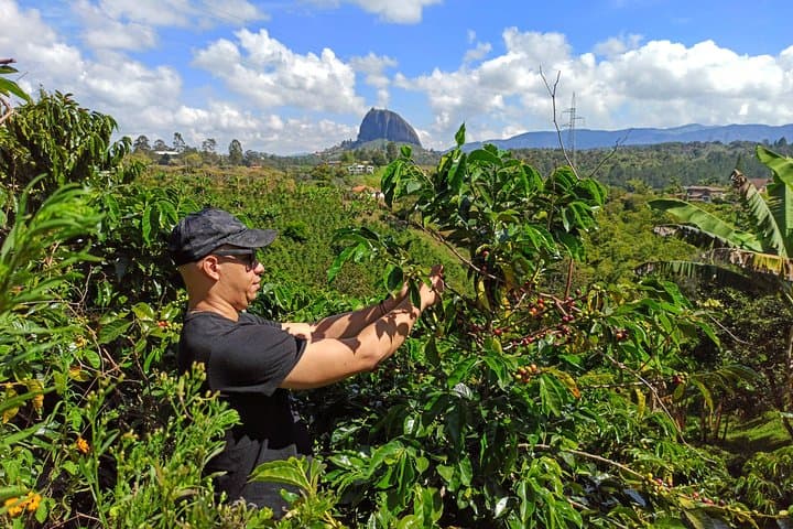 Guatapé Day Trip: Coffee Farm Experience, 708 Steps to El Peñol & Colorful Town Tour photo 1