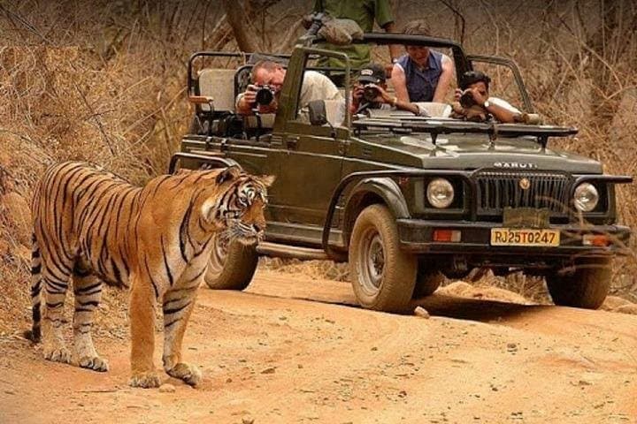 7-Day Delhi, Agra & Ranthambore: Taj Mahal Sunrise and Jungle Safari Itinerary photo 1