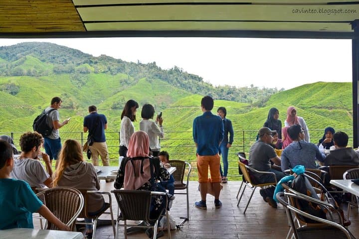 Cameron Highlands private day tour from Kuala Lumpur — tea estates, strawberry farms & bee apiaries photo 4