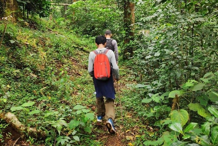 Wayanad Walking Holiday: Multi-Day Trekking Through the Western Ghats